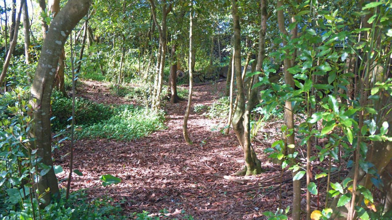 Quinta Dos Aromas Apartman Lagoa  Kültér fotó